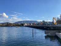 Wandering Through🇨🇭 Geneva in Autumn 🍂🍁