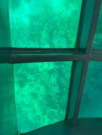Spotting coral 