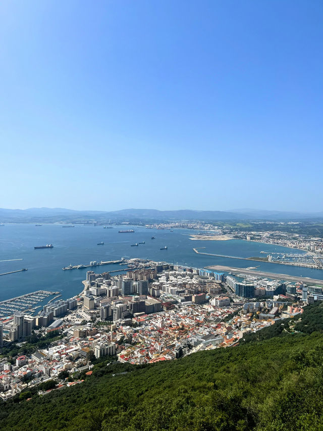Monkeying around on Gibraltar🇬🇮 