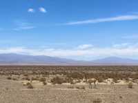 The Epic Scenic Drive Day