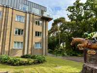 From Hills to Heritage