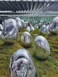 Step Into Another World at teamLab Planets Tokyo