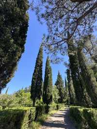 Chill time at Tbilisi botanical garden 