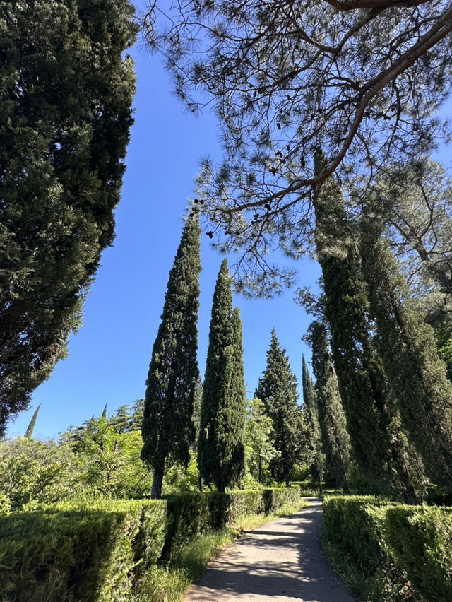 Chill time at Tbilisi botanical garden 