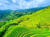 🌾 Stairway to Heaven: LongJi’s Golden Rice Terraces 🌄