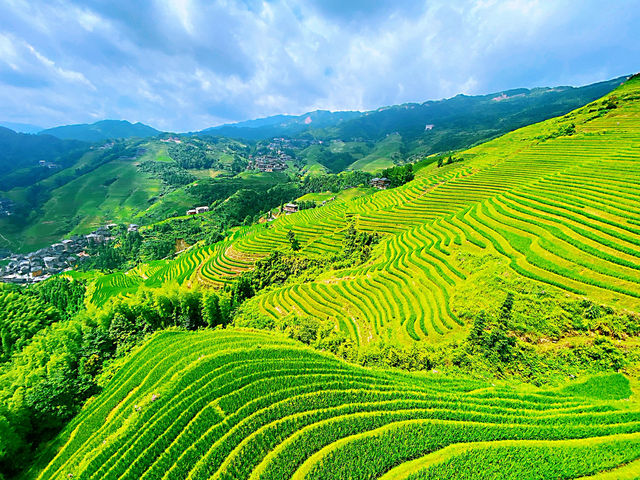 🌾 Stairway to Heaven: LongJi’s Golden Rice Terraces 🌄
