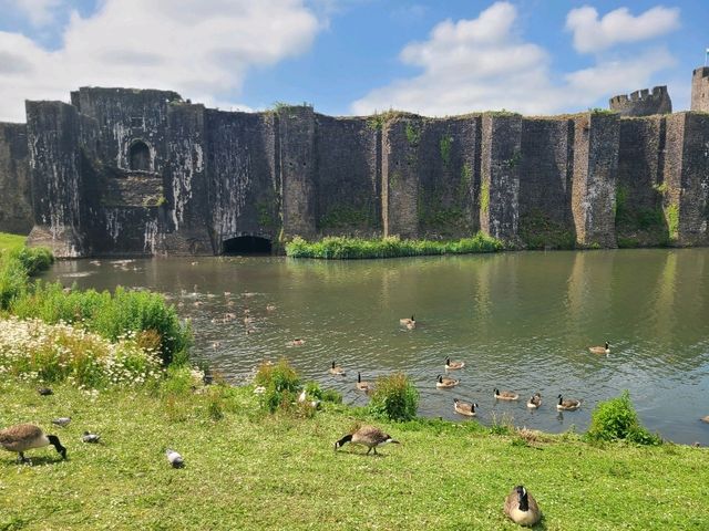 Largest Castle in Wales