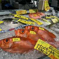 Nanki-Shirahama: A Seafood Lover’s Sacred Pilgrimage