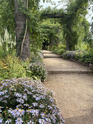 This big rose garden is recommended and free entry 
