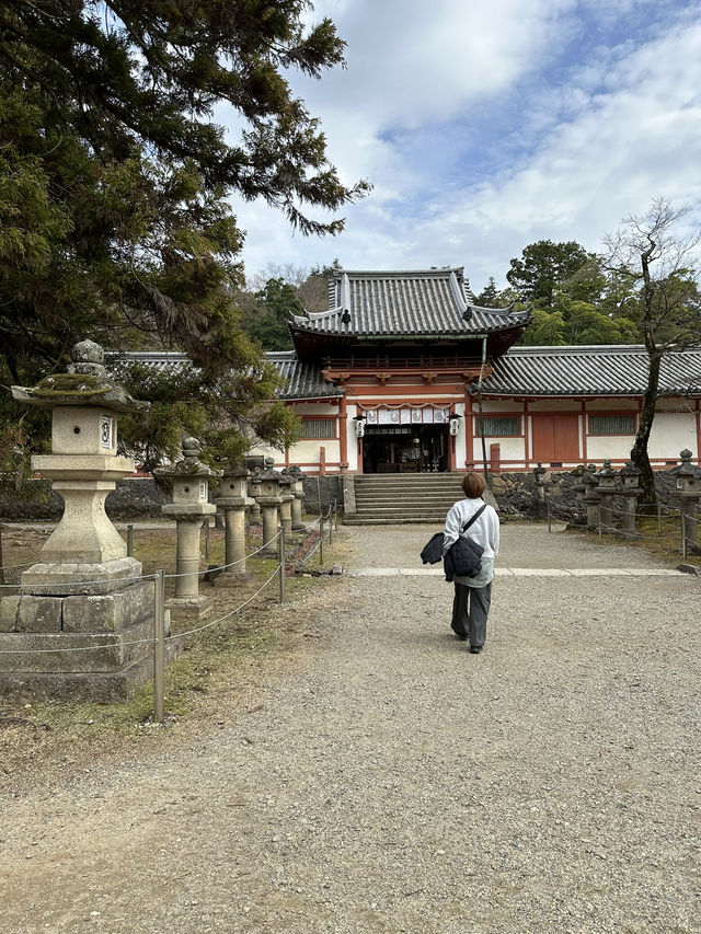 Nara’s Enchanting Shrines & Sacred Deer Encounters