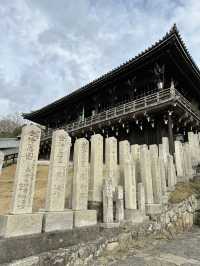 Deer, Temples & Tranquility: The Ultimate Nara Park Stroll 
