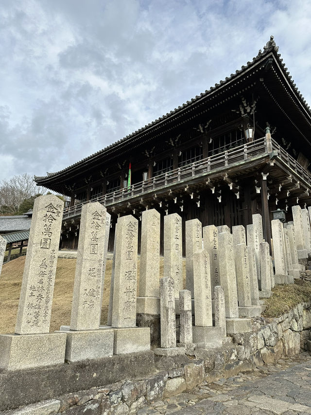 Deer, Temples & Tranquility: The Ultimate Nara Park Stroll 