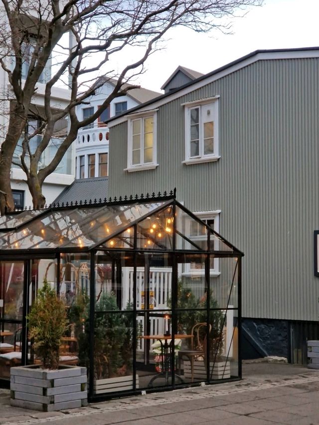 Postcards from Reykjavik: 1-Day Itinerary 🇮🇸✨