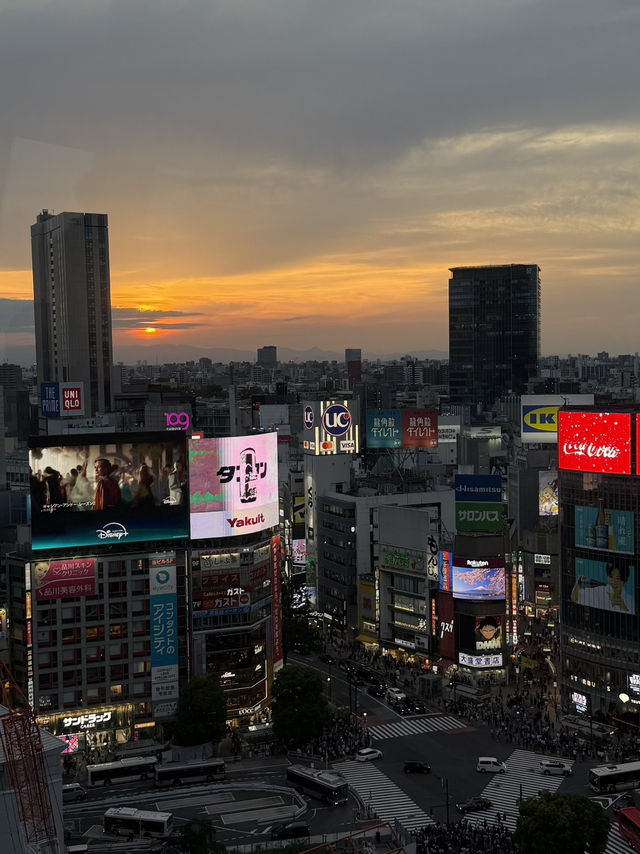 Miyashita Magic🌃