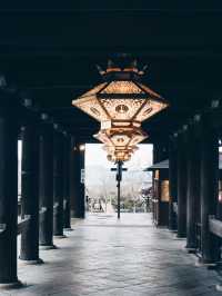 春の嵐山：自然と歴史が調和する京都の絶景旅