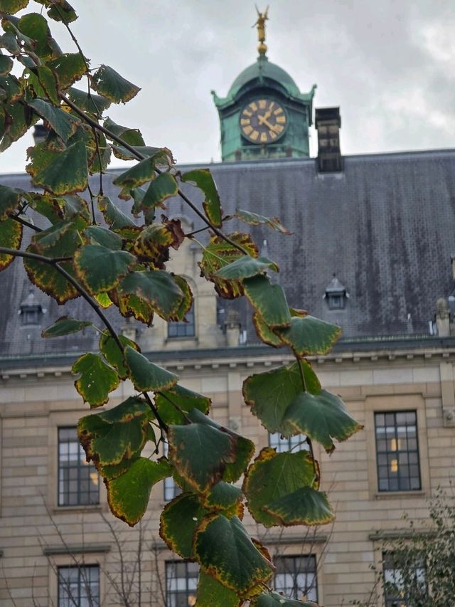 Rotterdam Guide — Modern Architecture and Creative Energy🍵🚅