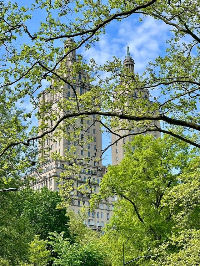 Central Park, it’s basically Hollywood’s favorite green screen!