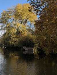 🍁 Warwick Castle – Autumn Magic Around Ancient Walls 🏰✨
