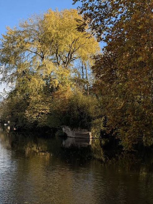 🍁 Warwick Castle – Autumn Magic Around Ancient Walls 🏰✨ 🍁 Warwick Castle – Autumn Magic Around Ancient Walls 🏰✨