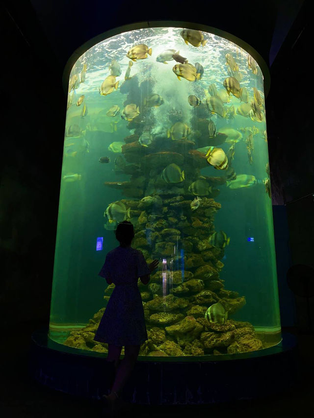 Удивительные места Нячанга, которые стоит посетить!