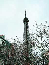 Paris from Above: Big Bus Tour & Eiffel Tower Views 🇫🇷