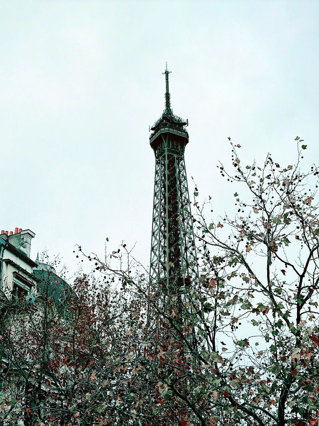 Paris from Above: Big Bus Tour & Eiffel Tower Views 🇫🇷