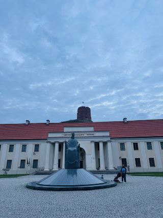 The Ultimate Vilnius Shot! A Romantic Encounter Between the King's Statue and the Castle Tower