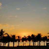 Park with stunning view and sunset. Shenzhen, Baoan 