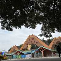 Fun experience at Shenzhen Safari Park