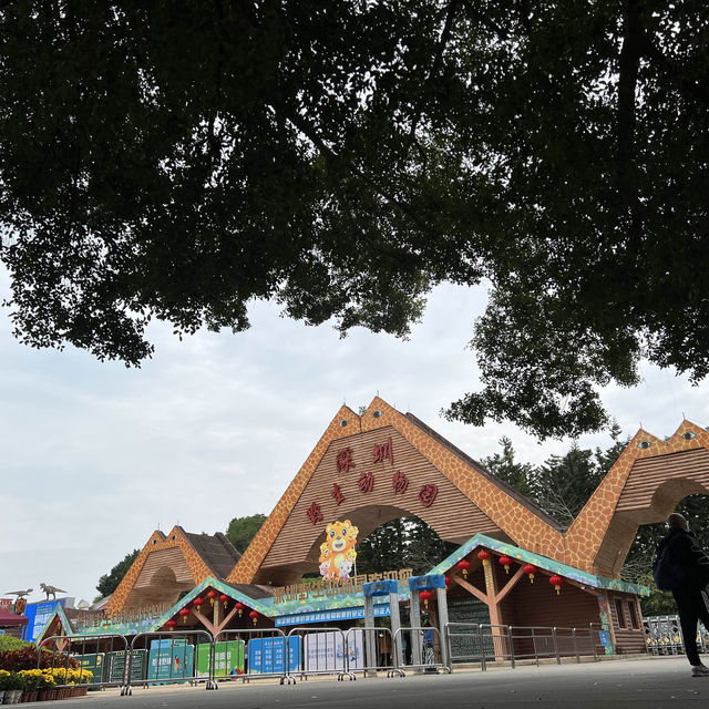 Fun experience at Shenzhen Safari Park
