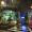 WanderlustAbroad_99