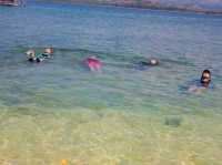 🌴 Potipot Island: Your Tropical Escape 