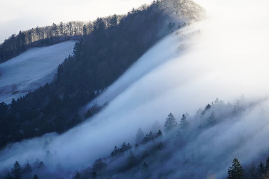 【2024年】恵州の人気観光スポット・旅行ガイド・グルメ情報満載 | Trip.com