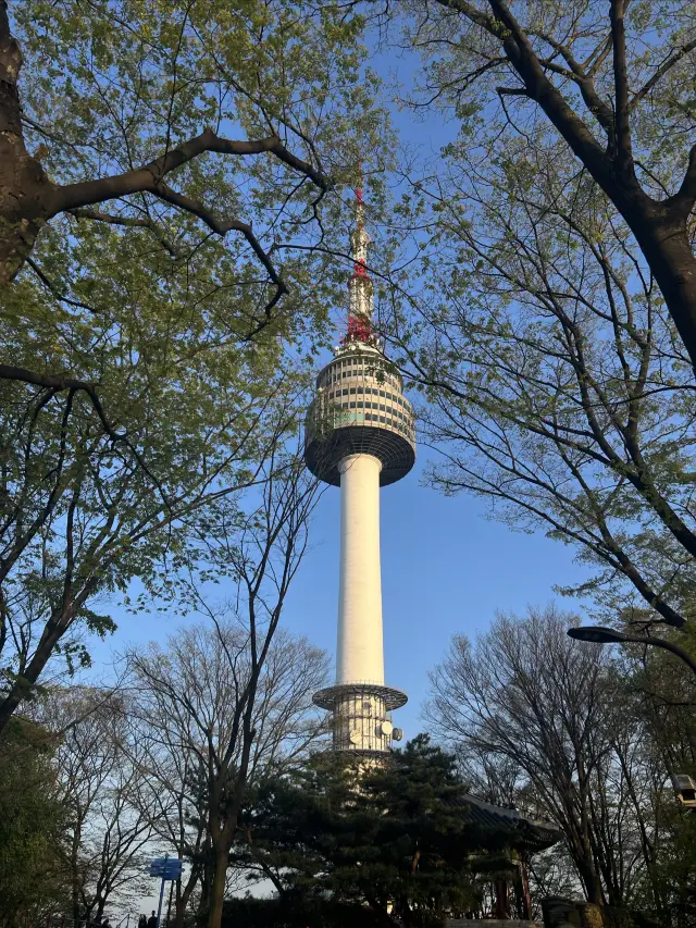 How to get to Namsan Park in the most convenient way