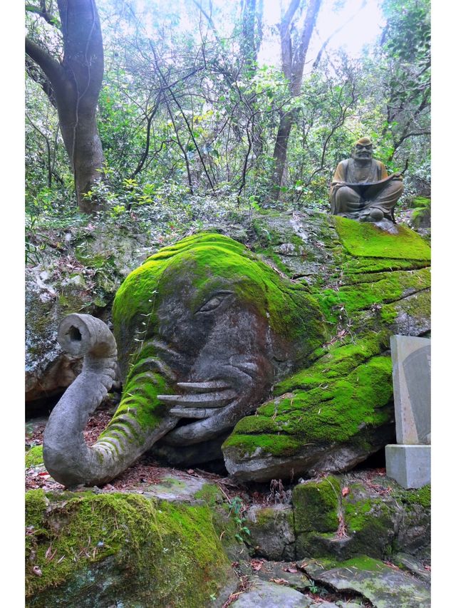 福州丨蒲竹寺丨福州雕像蕞多的寺廟