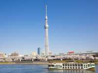 🗼東京を300ドルで移動する秘訣は？🇯🇵