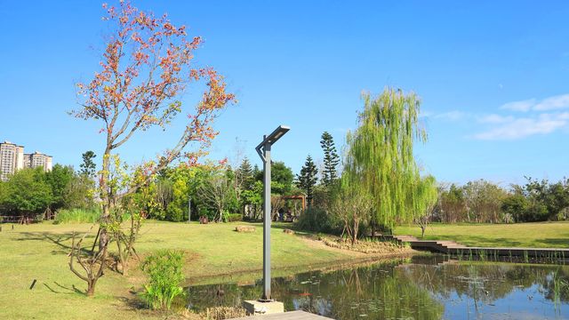 旗山湖公園位於閩侯縣高新區，緊鄰福建師大和福建理工大學，湖水與溪源江和輪船港河相通，813畝的公園綠化面積，主要觀賞景點有:清風坪、桃花渚、荔枝林、梅渚島、古韻流芳等等，遊客可以在此劃船、賞花、放風箏、看日落……，它在2018年開始開挖興建，是目前福州地區第一大的綠色生態景觀湖泊公園
