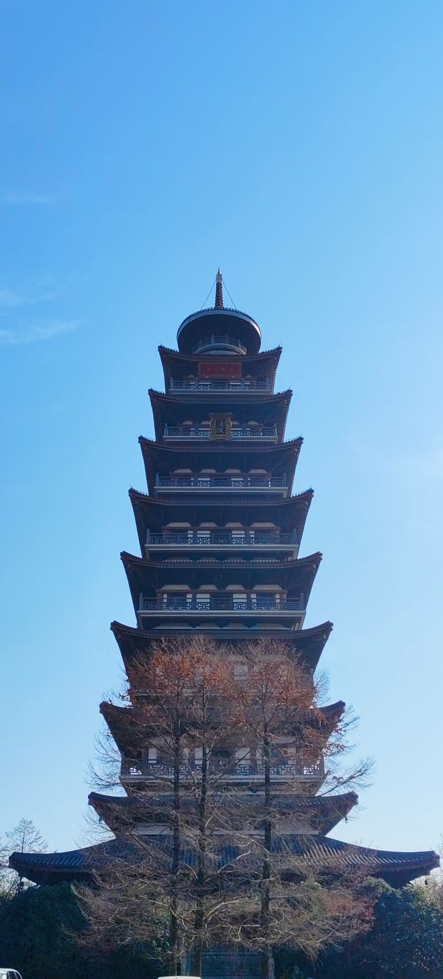 禪茶一味品金秋