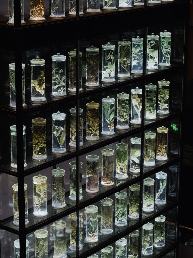 廣州｜廣東中醫藥博物館