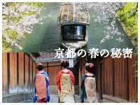 私が宣言します：京都は魅惑的な桜🌸の天国です！