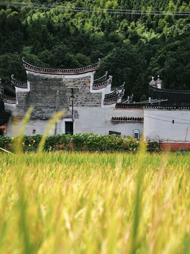 湖南旅遊｜夢中的湘南田園-周家大院