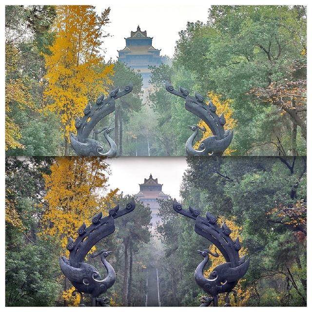 東湖磨山景區初冬景象