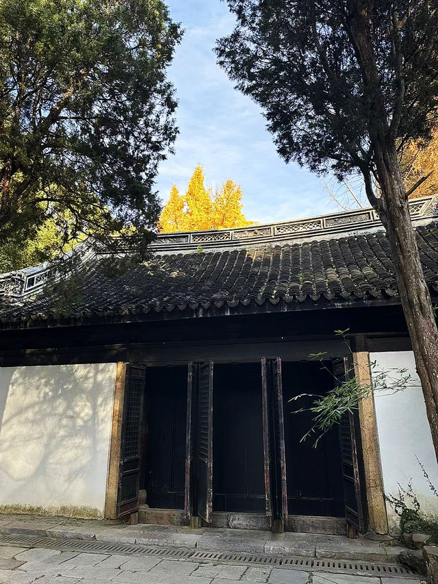 每年必看的惠山寺古銀杏樹！！！