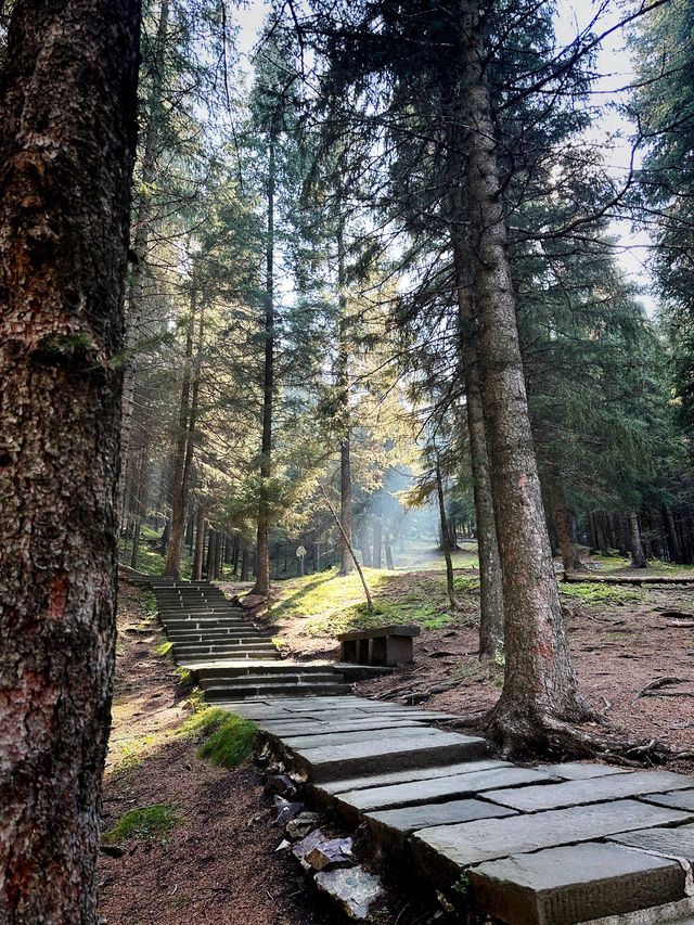 🇨🇳Lost in Tianchi Heavenly Park, Xinjiang!