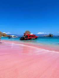 印尼/科莫多島/你見過粉紅色的沙灘嗎？