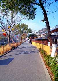 上海青浦趙巷有個新晉網紅「和睦水街」