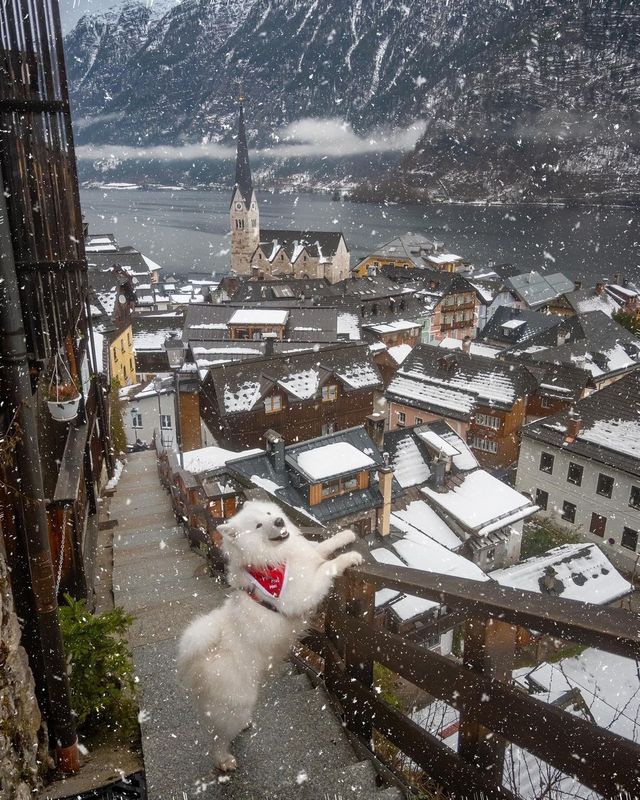 Hallstatt Chronicles: A Picture-Perfect Weekend Getaway 🏞️🇦🇹