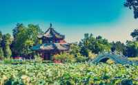保定古蓮花池,中國十大名園之一,是保定旅遊的必打卡地
