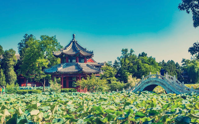 保定古蓮花池,中國十大名園之一,是保定旅遊的必打卡地 保定古蓮花池,中國十大名園之一,是保定旅遊的必打卡地