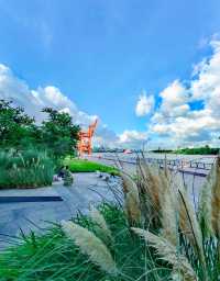 這段濱江，視野開闊、景色迷人